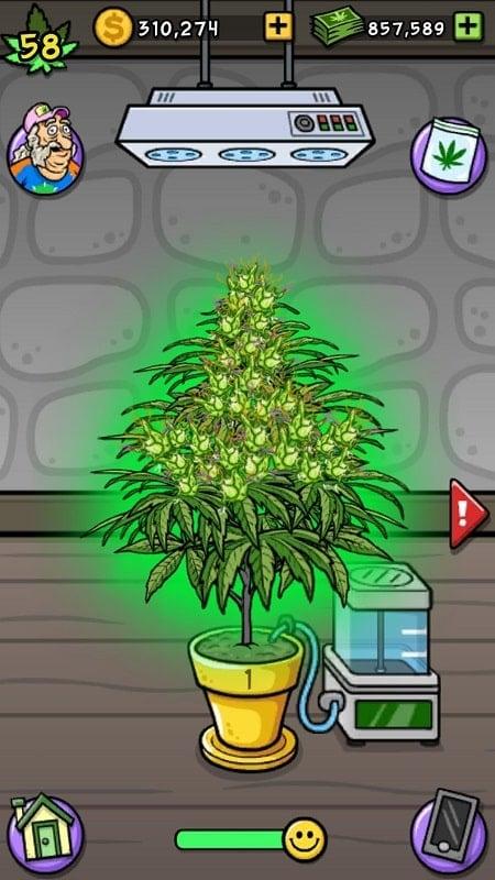 Bud Farm: Grass Roots APK