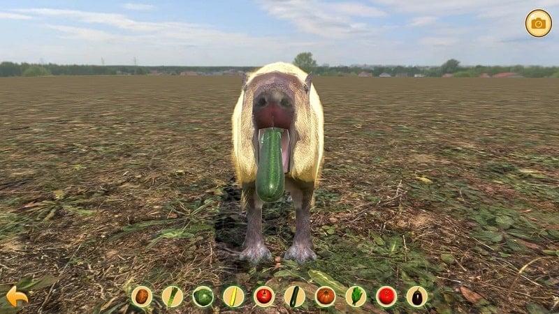 Capybara Zoo APK