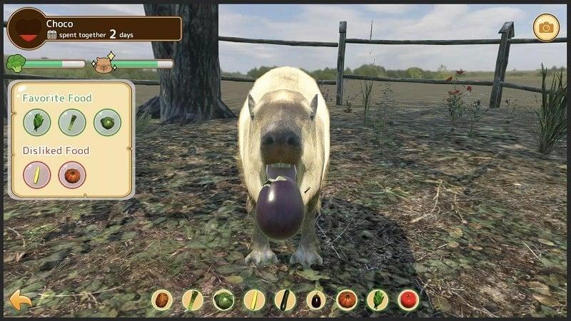 Capybara Zoo APK