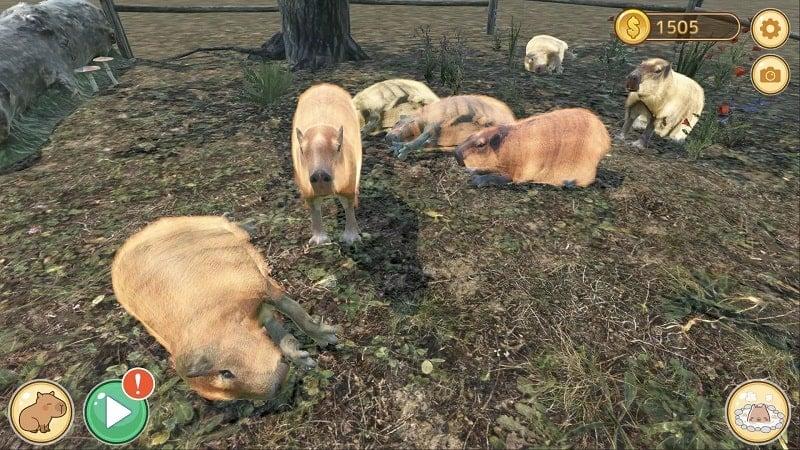 Capybara Zoo APK