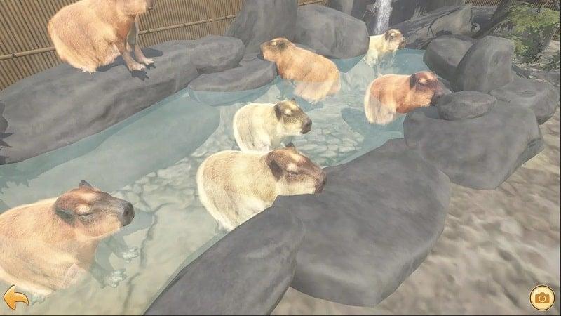 Capybara Zoo APK