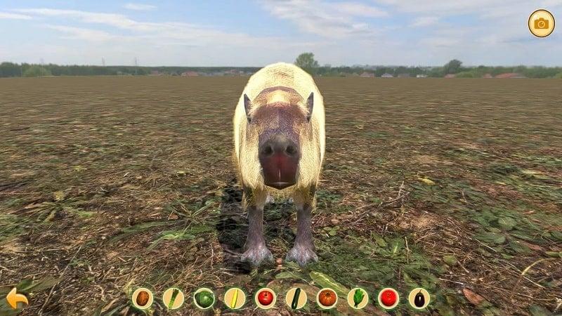 Capybara Zoo APK