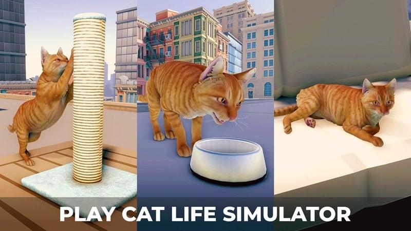 Cat’s Metropolis Adventure APK